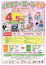 JAフリーローンモア
