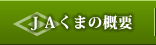 ＪＡくまの概要